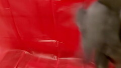 My new Latex Gloves dreamofevolutionvip Thumb