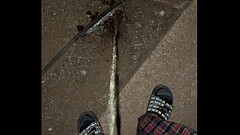 Night Piss in the Back Yard Thumb