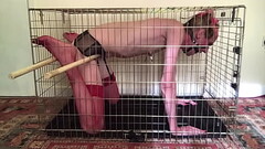 Trans girl locked in dog cage Thumb