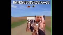 the melbourne cup Thumb