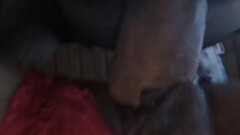 MI VETERANA EN CUATRO Thumb